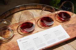 Masterclass - Age-ability of Geelong Pinot Noir
