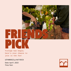 2025 Friends Pick @ Hat Rock