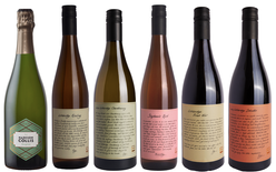 Ray's Launch Six Pack